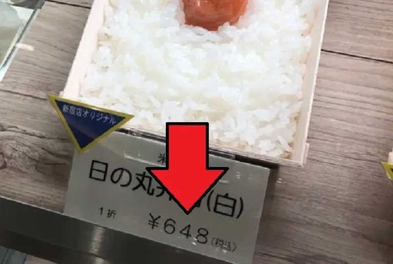 Just Rice And Pickled Plum 1