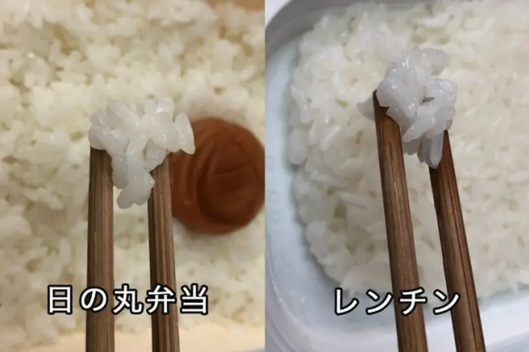 Just Rice And Pickled Plum 3