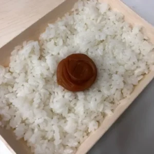 Just Rice And Pickled Plum
