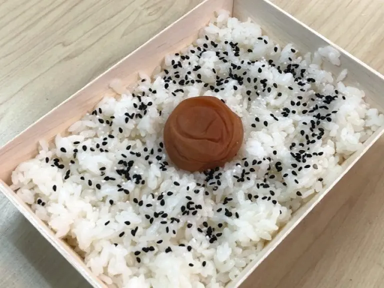 Just Rice And Pickled Plum 4