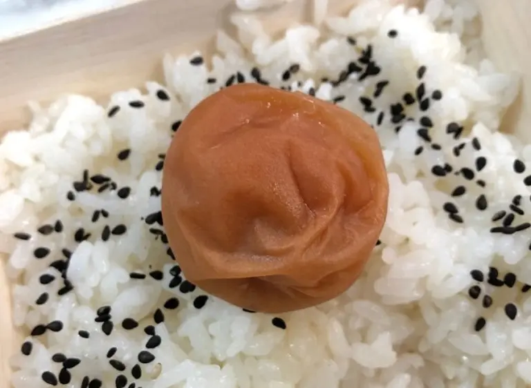 Just Rice And Pickled Plum 5