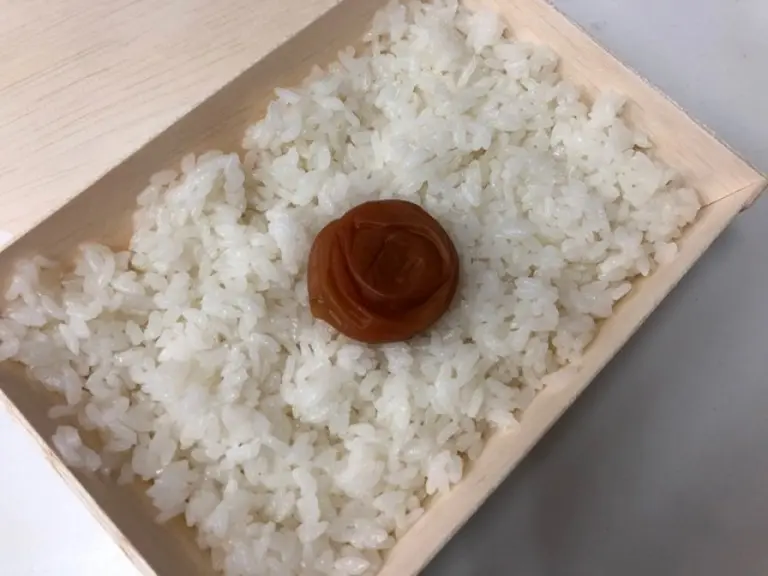 Just Rice And Pickled Plum