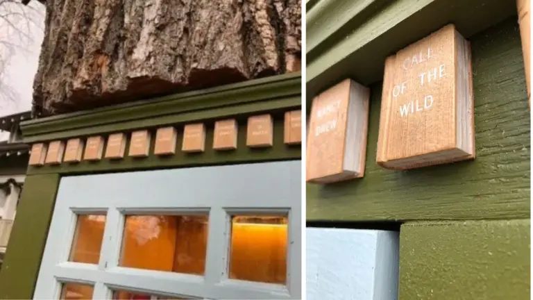 A 110-year-old Tree Stump Transformed Into A Free Library 2