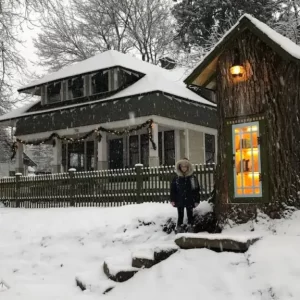 A 110-year-old Tree Stump Transformed Into A Free Library