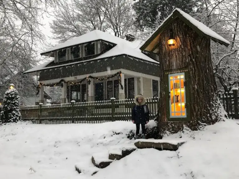 A 110-year-old Tree Stump Transformed Into A Free Library