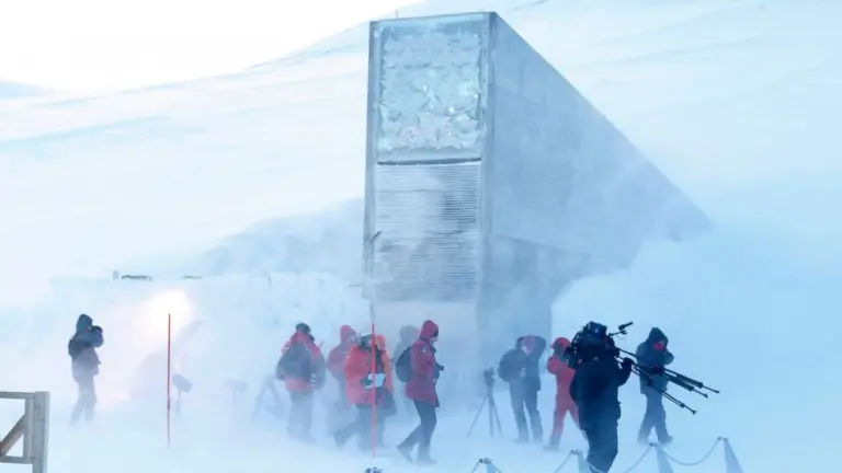 Exploring The Global Doomsday Seed Vault On Svalbard Island, Norway 2