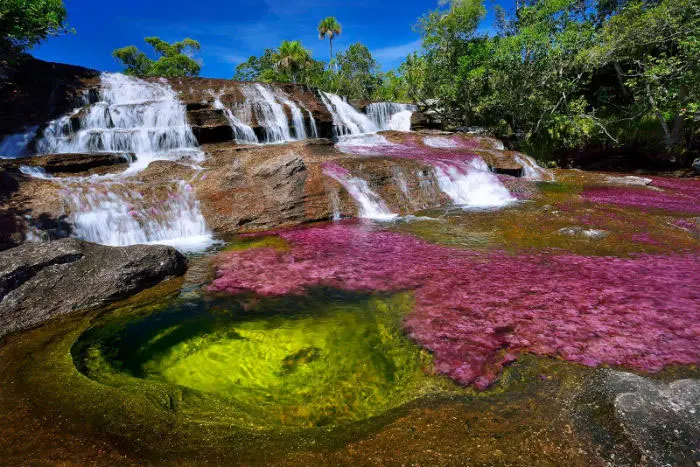 Cano Cristales 1