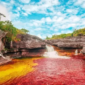 Cano Cristales