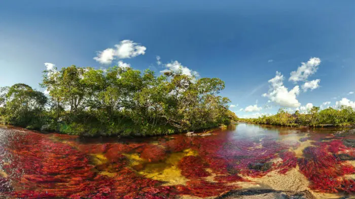 Cano Cristales 5