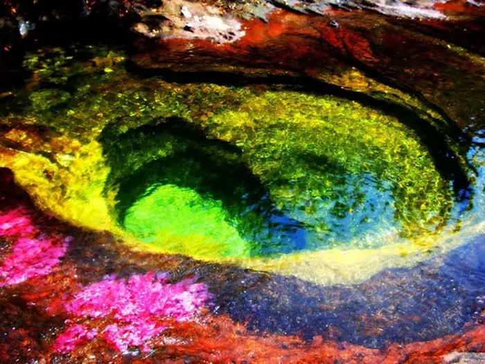 Cano Cristales 8