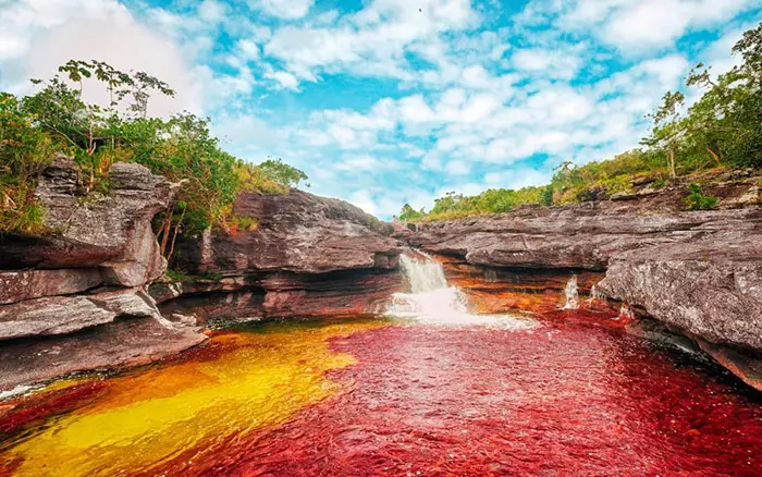 Cano Cristales