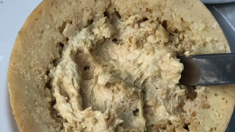 Casu Marzu 2