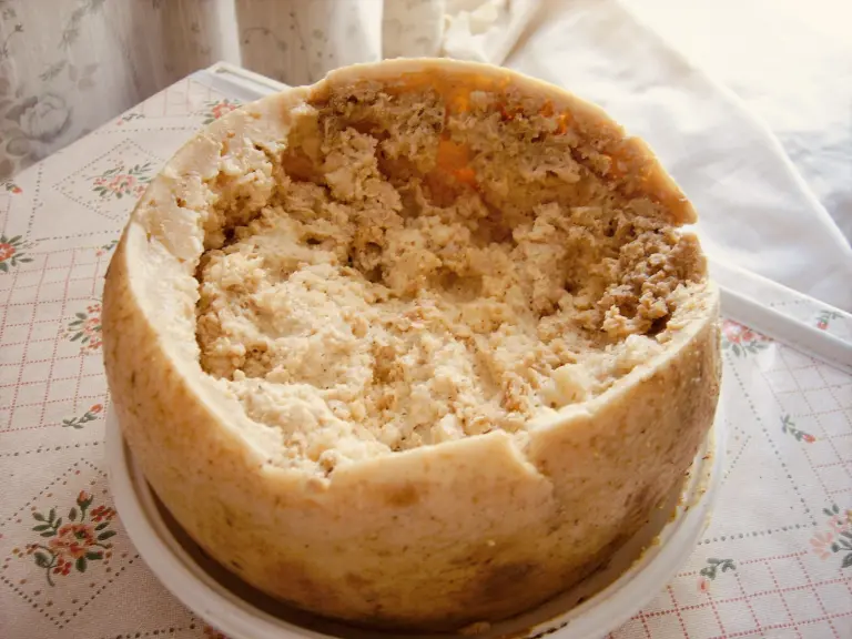 Casu Marzu 4