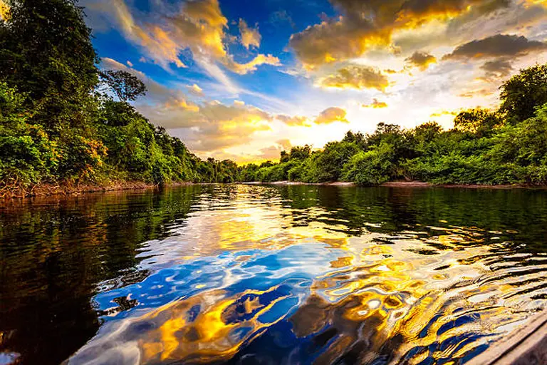 Amazon Rainforest, South America