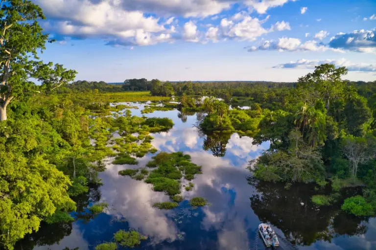 The Congo Basin, Central Africa