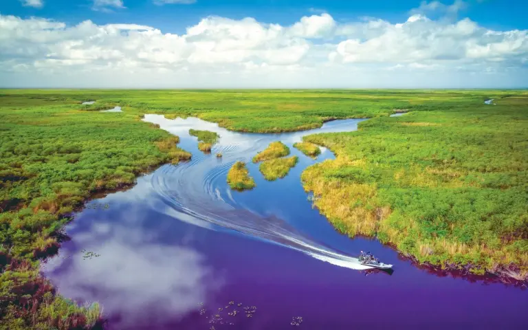 The Everglades, Florida, USA