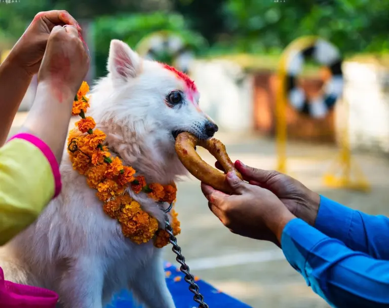 Unusual Customs From Around The World You Need To Experience 25