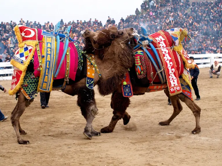 Unusual Customs From Around The World You Need To Experience 27