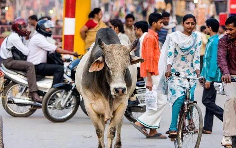 11 Ordinary Things In India That Are Extremely Strange To The Rest Of The World 4