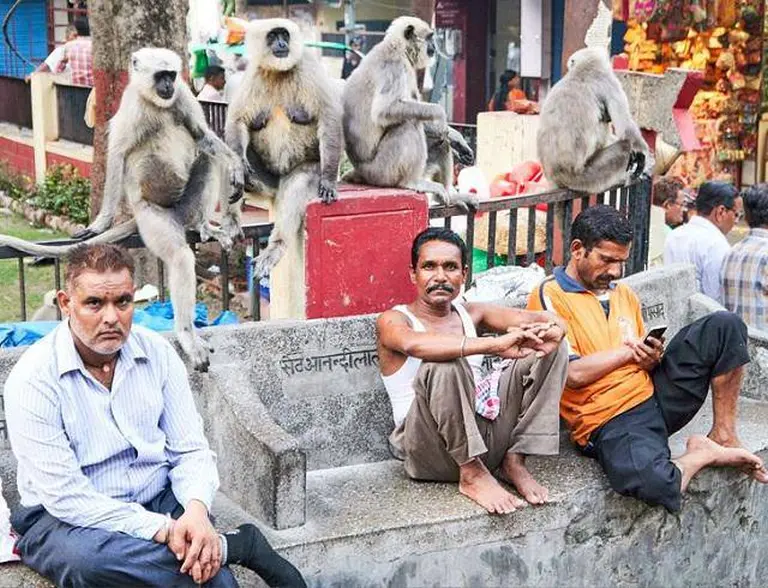 11 Ordinary Things In India That Are Extremely Strange To The Rest Of The World 5