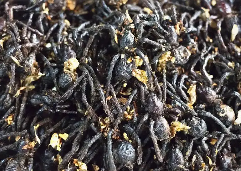 9 Most Bizarre Dishes On The Planet That Only The Brave Dare To Eat 4