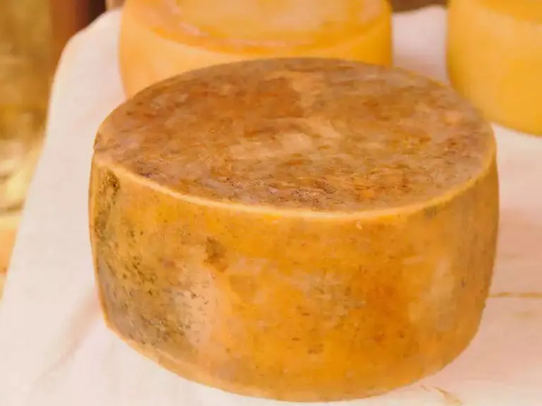 9 Most Bizarre Dishes On The Planet That Only The Brave Dare To Eat 6
