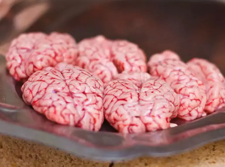 9 Most Bizarre Dishes On The Planet That Only The Brave Dare To Eat 9