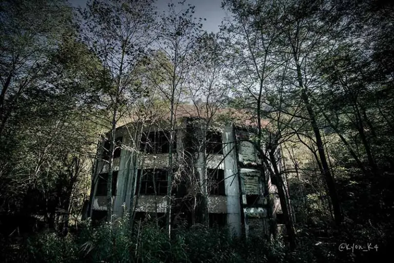 An Abandoned School Swallowed By Nature After 47 Years 1
