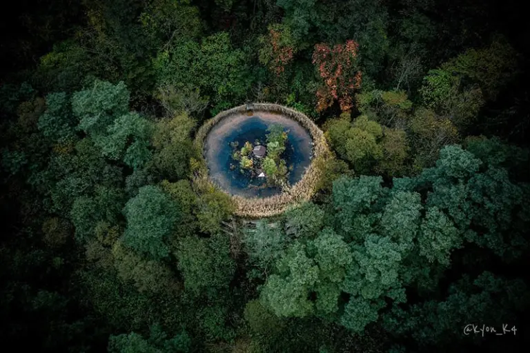 An Abandoned School Swallowed By Nature After 47 Years 3