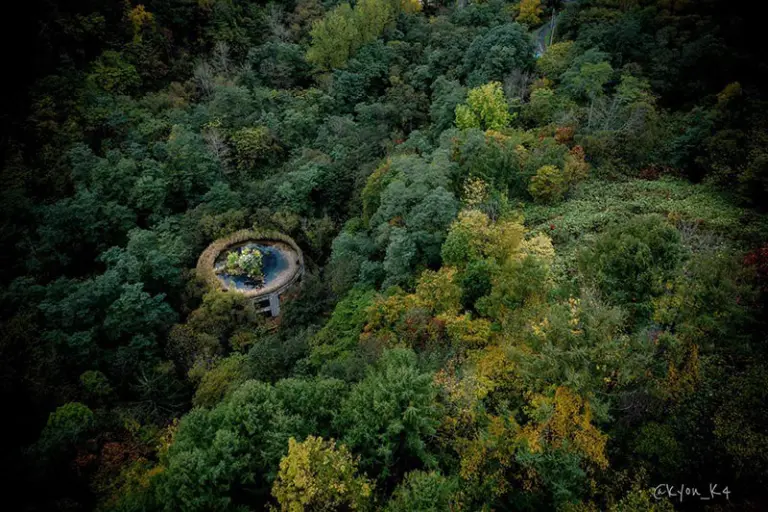 An Abandoned School Swallowed By Nature After 47 Years