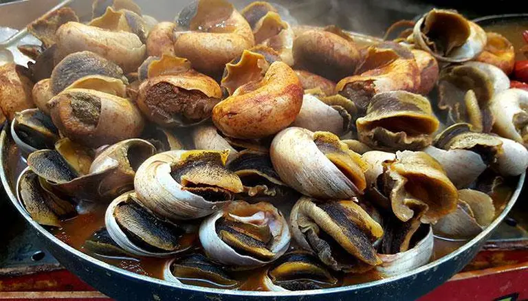 Boiled Snails 2