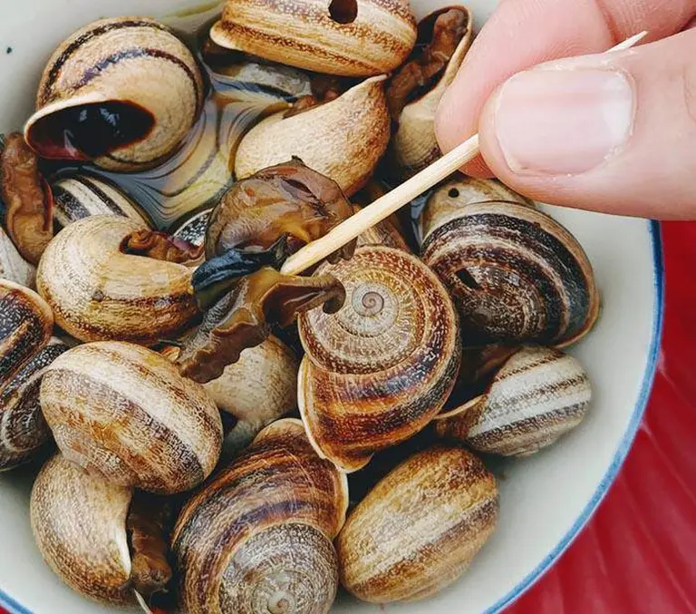 Boiled Snails 4