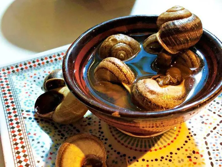 Boiled Snails 5