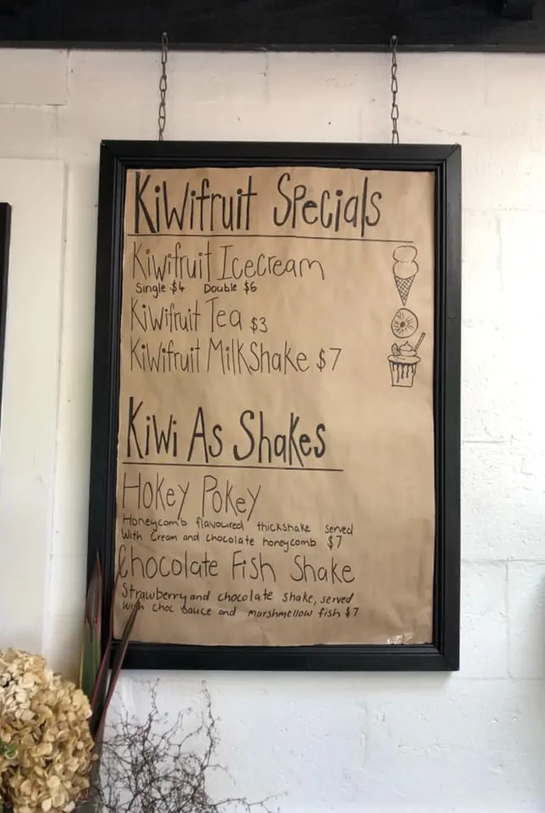 Discover New Zealand’s Ultimate Kiwifruit Orchard Experience! 13