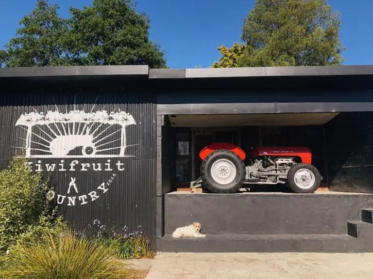 Discover New Zealand’s Ultimate Kiwifruit Orchard Experience! 4