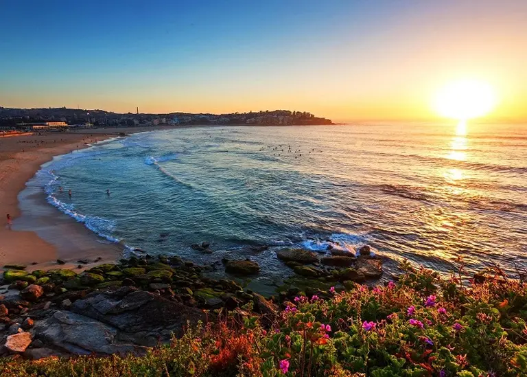 Discover The Best Beaches In Sydney, Australia