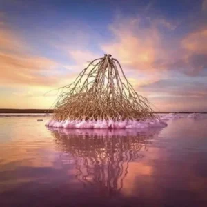 Don't Miss These 14 Surreal Natural Landscapes When Traveling In Melbourne, Australia! 1