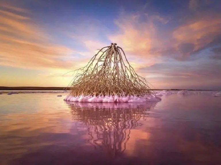 Don't Miss These 14 Surreal Natural Landscapes When Traveling In Melbourne, Australia! 1