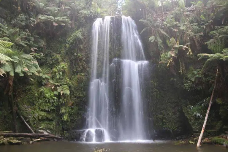 Don't Miss These 14 Surreal Natural Landscapes When Traveling In Melbourne, Australia! 12
