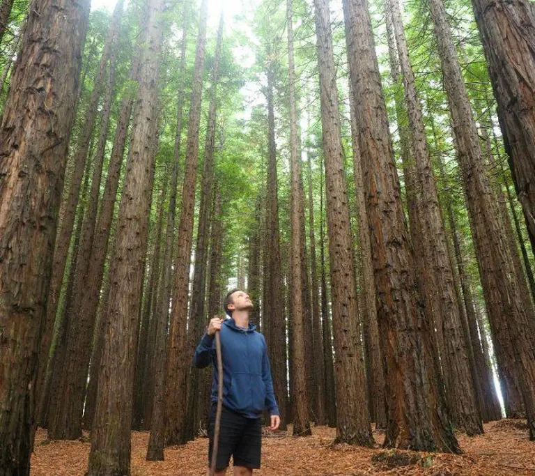 Don't Miss These 14 Surreal Natural Landscapes When Traveling In Melbourne, Australia! 13