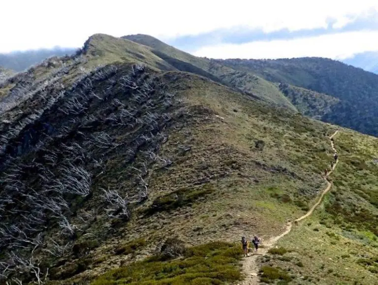 Don't Miss These 14 Surreal Natural Landscapes When Traveling In Melbourne, Australia! 6