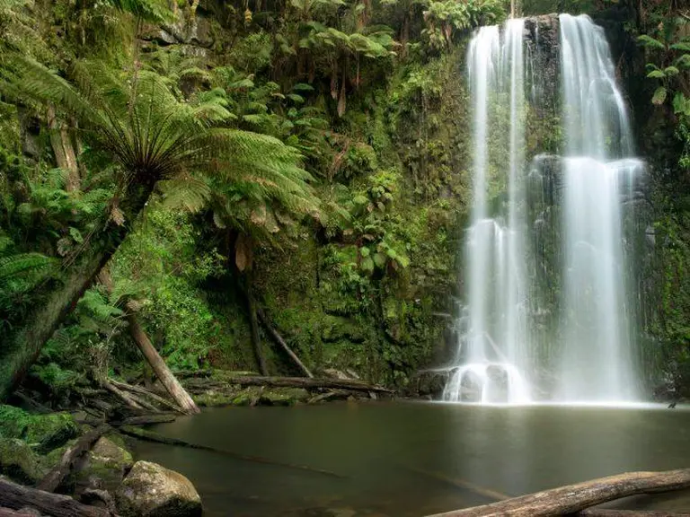 Don't Miss These 14 Surreal Natural Landscapes When Traveling In Melbourne, Australia! 7