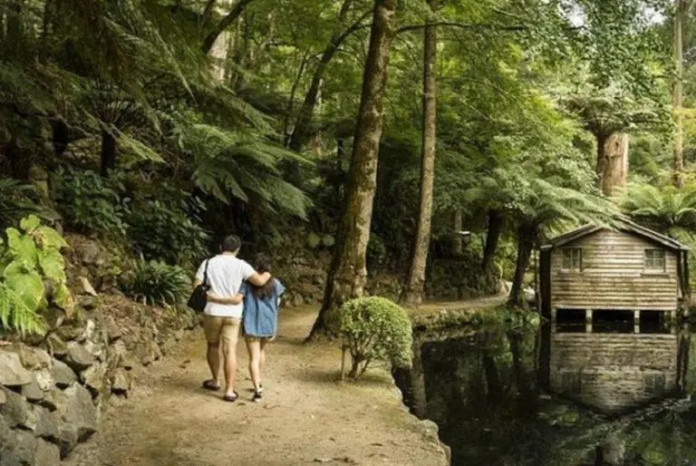 Don't Miss These 14 Surreal Natural Landscapes When Traveling In Melbourne, Australia! 9