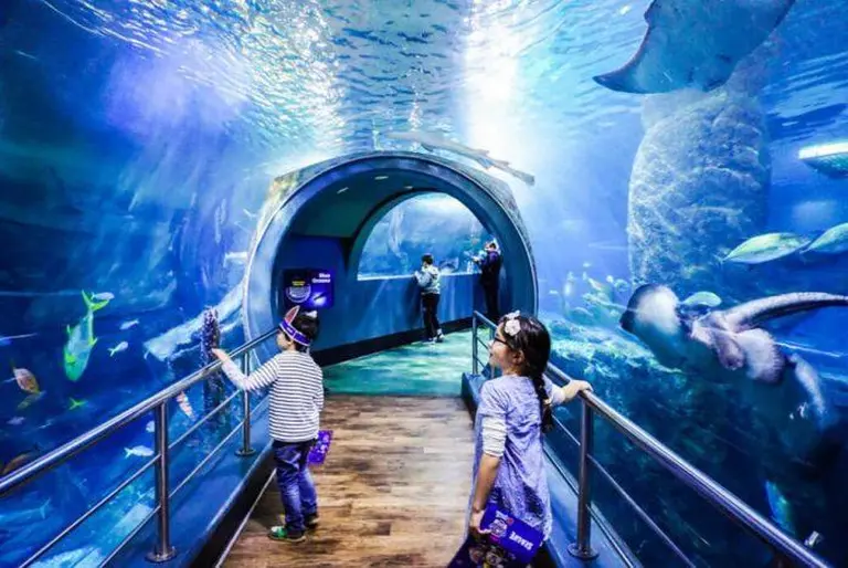 Sea Life Melbourne Aquarium 0
