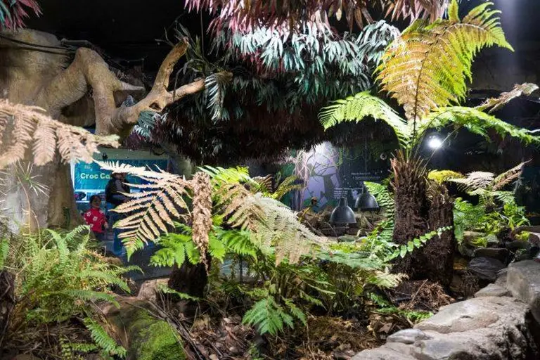 Sea Life Melbourne Aquarium 12