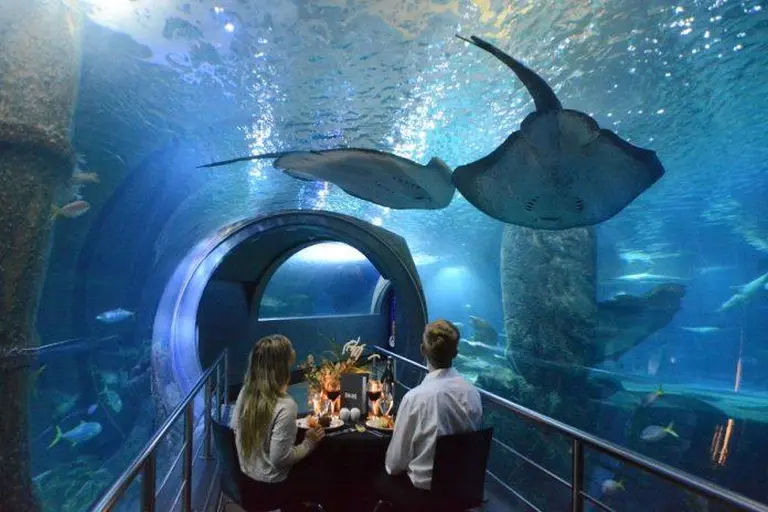 Sea Life Melbourne Aquarium 15
