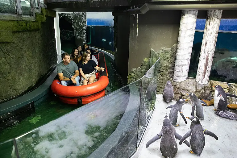 Sea Life Melbourne Aquarium 2