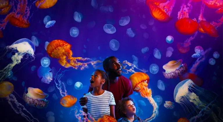 Sea Life Melbourne Aquarium 3