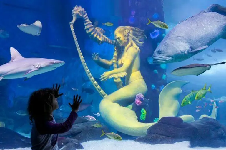 Sea Life Melbourne Aquarium 7