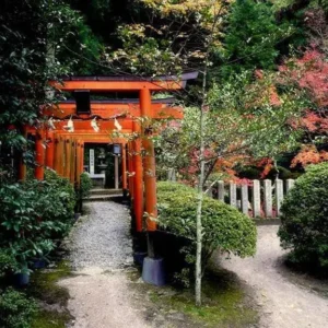 The Japanese Shrine That Built A Tiny Water Temple Just For Bees